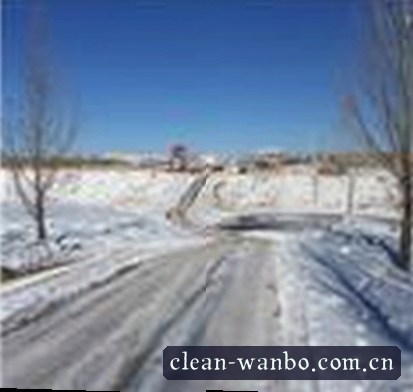 赵雪