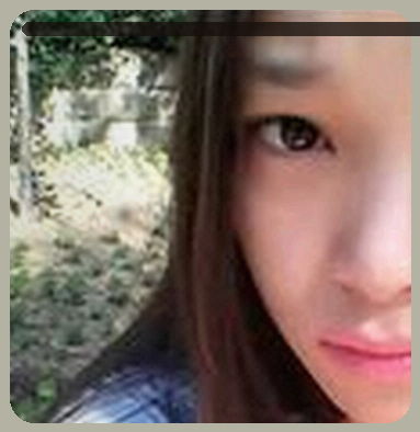 黄磊